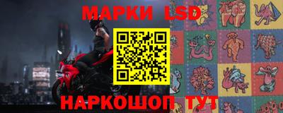 индика Можга