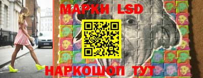индика Можга