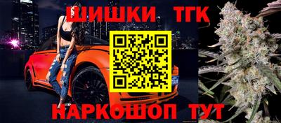 индика Можга
