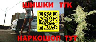 индика Можга
