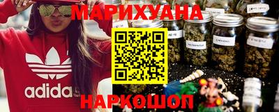 индика Можга