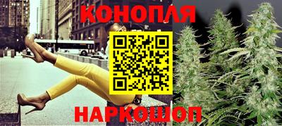 индика Можга