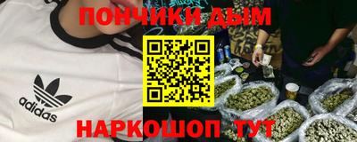 индика Можга