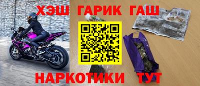 индика Можга