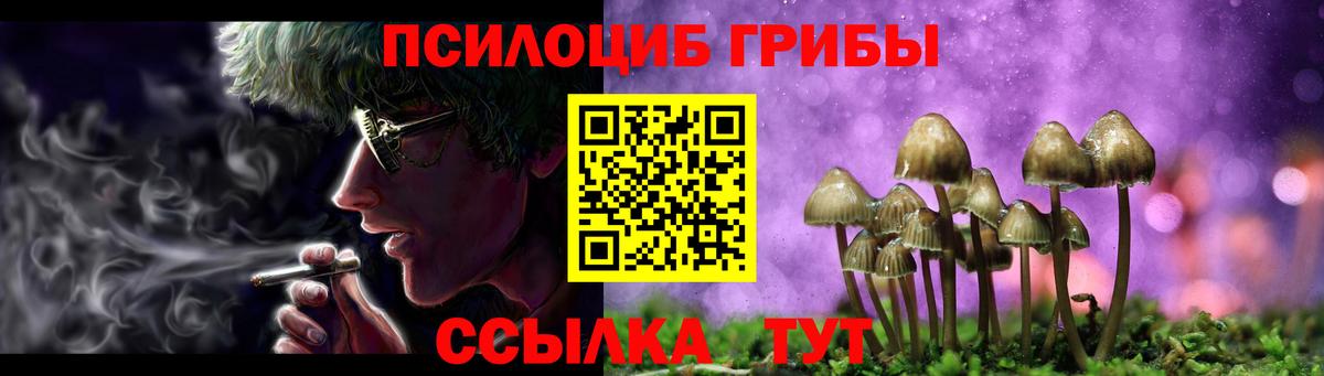 Псилоцибиновые грибы Psilocybine cubensis Тавда